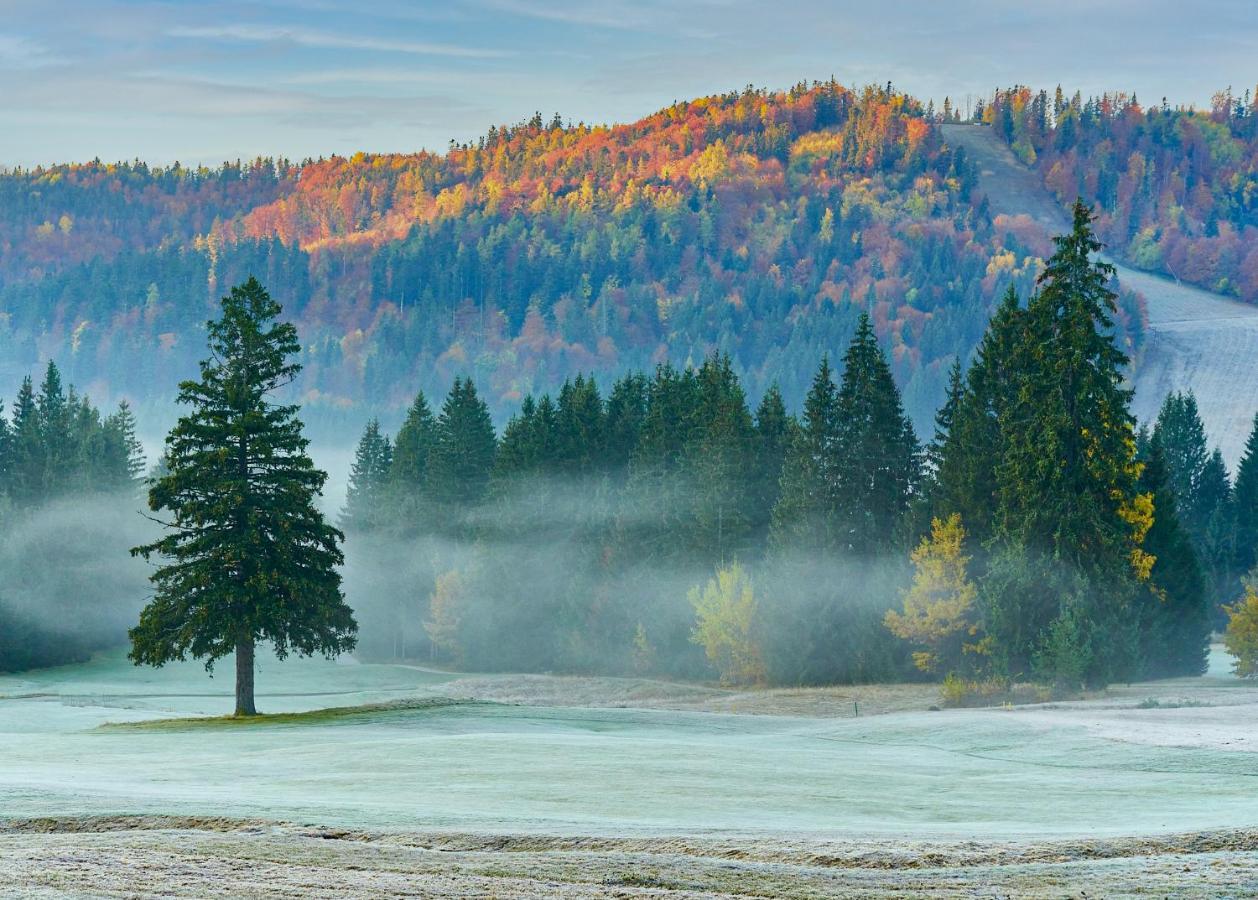 Dependence Hotela Stupka - Golf タレ エクステリア 写真